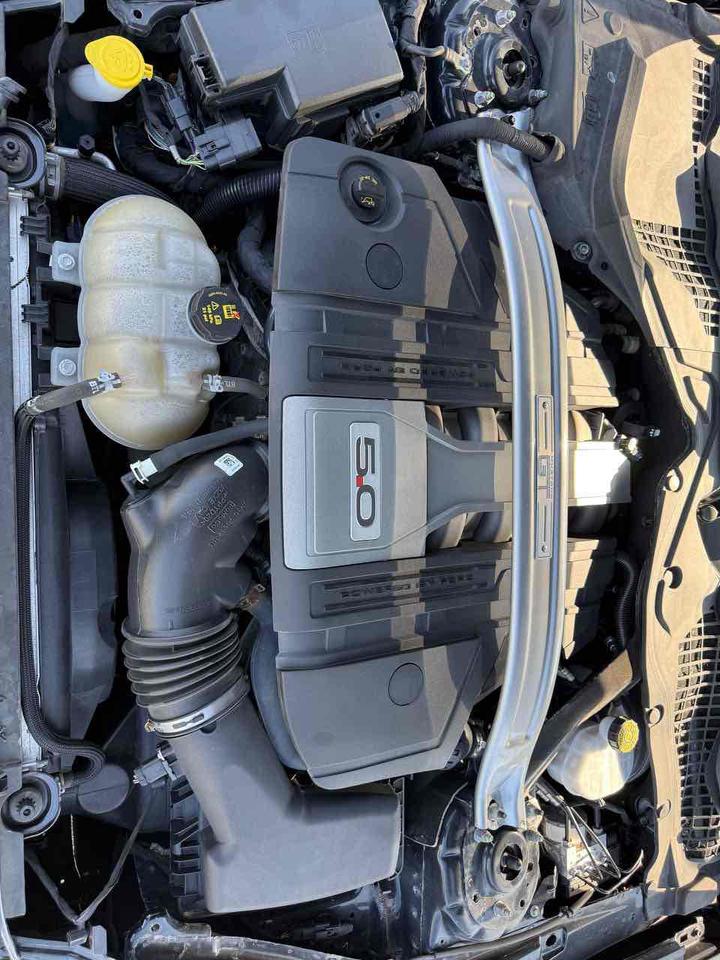 2019 Ford Mustang GT Photo