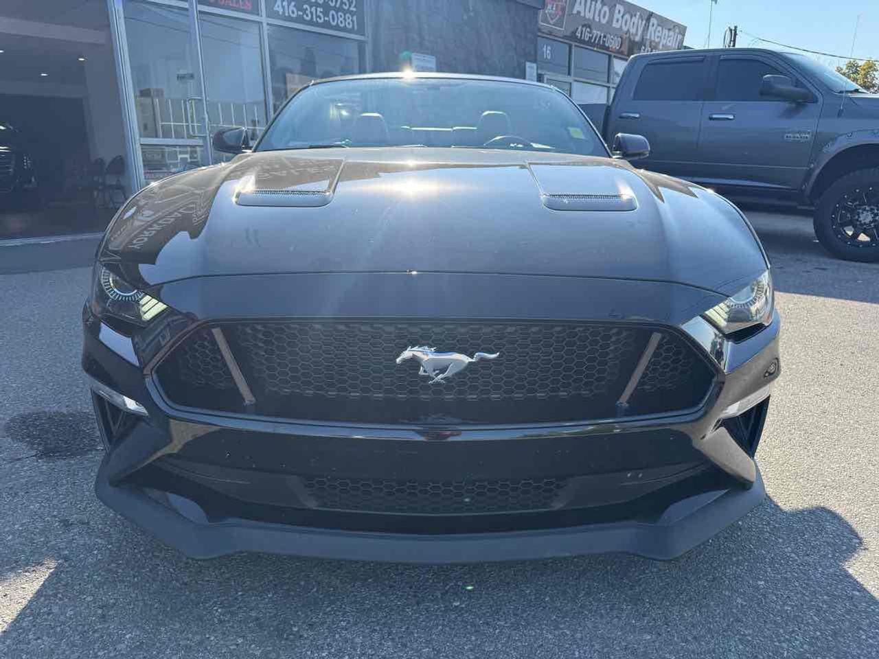 2019 Ford Mustang GT Photo1