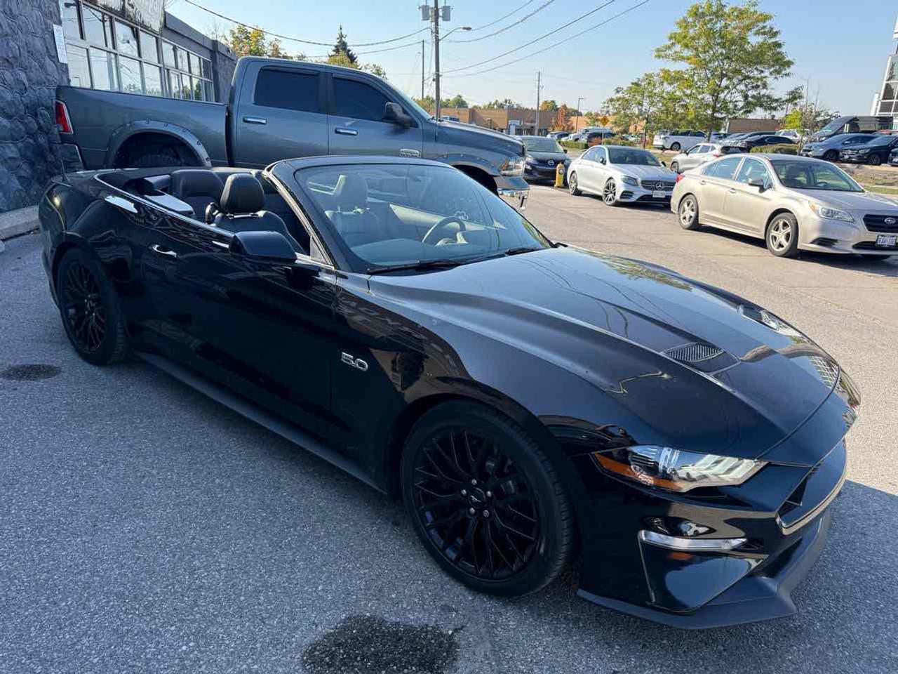 2019 Ford Mustang GT Photo2
