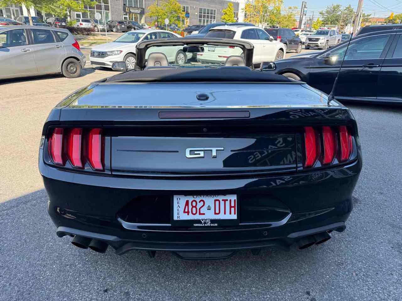 2019 Ford Mustang GT Photo