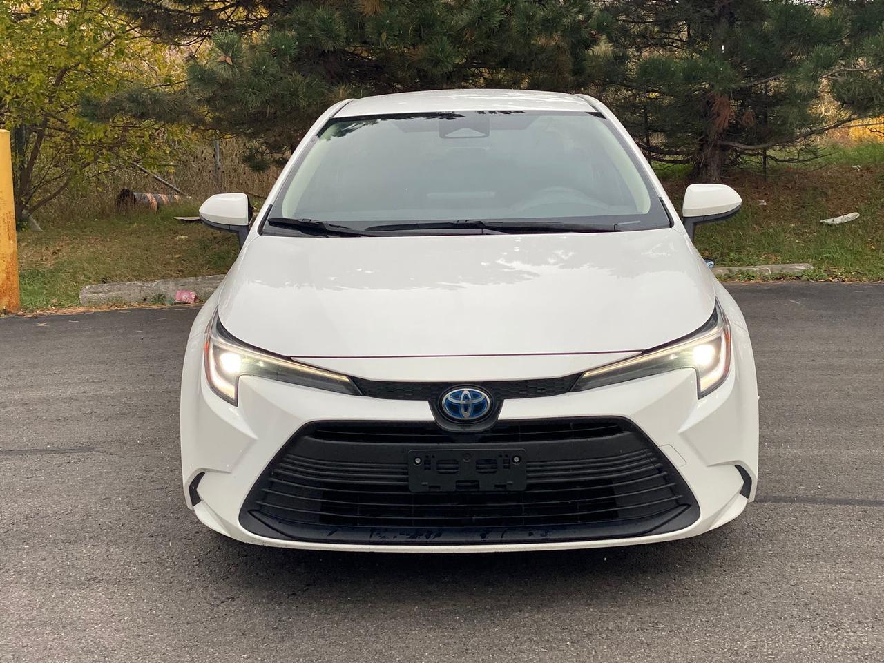 2023 Toyota Corolla LE Hybrid Photo