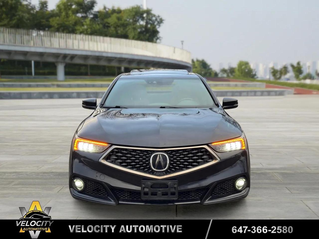 2019 Acura TLX Tech A-Spec | No Accidents! Photo