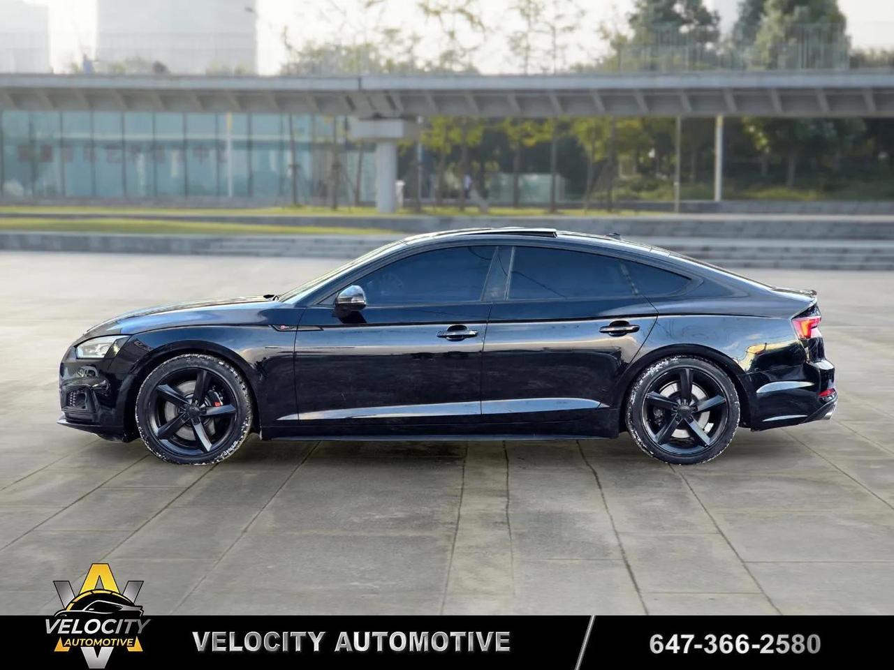 2019 Audi S5 Technik Sportback | No Accidents! Photo