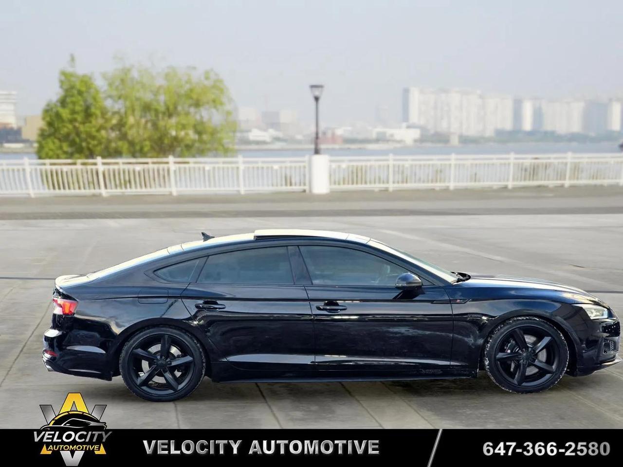 2019 Audi S5 Technik Sportback | No Accidents! Photo