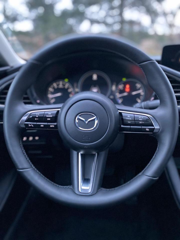 2025 Mazda MAZDA3 2.5 S Preferred Photo