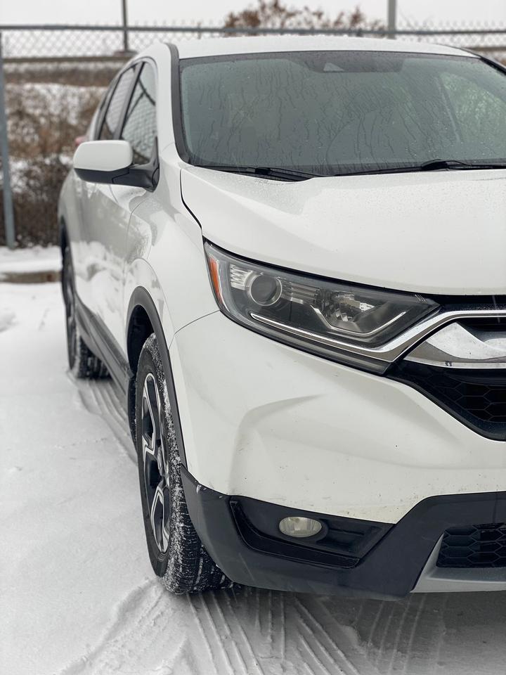 2019 Honda CR-V LX AWD Photo