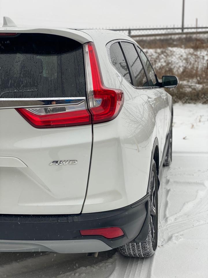 2019 Honda CR-V LX AWD Photo
