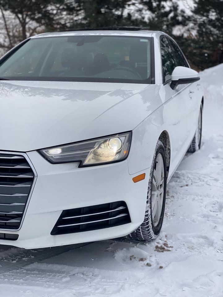 2017 Audi A4 Premium Quattro NO ACCIDENT Photo