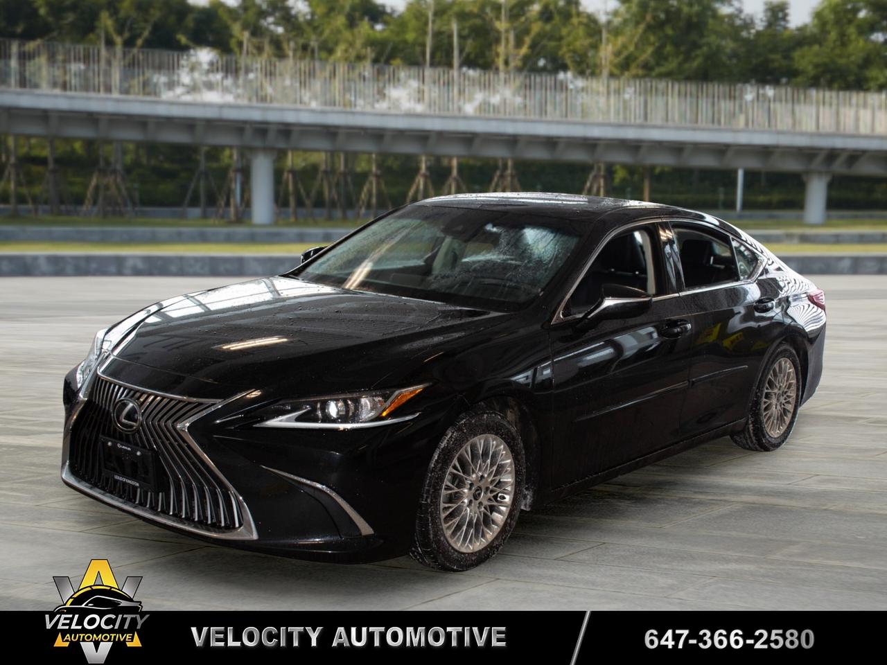 2020 Lexus ES 350 Premium | No Accidents! Photo