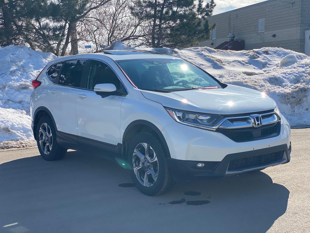 2019 Honda CR-V EX-L | SUNROOF | NO ACCIDENT Photo2