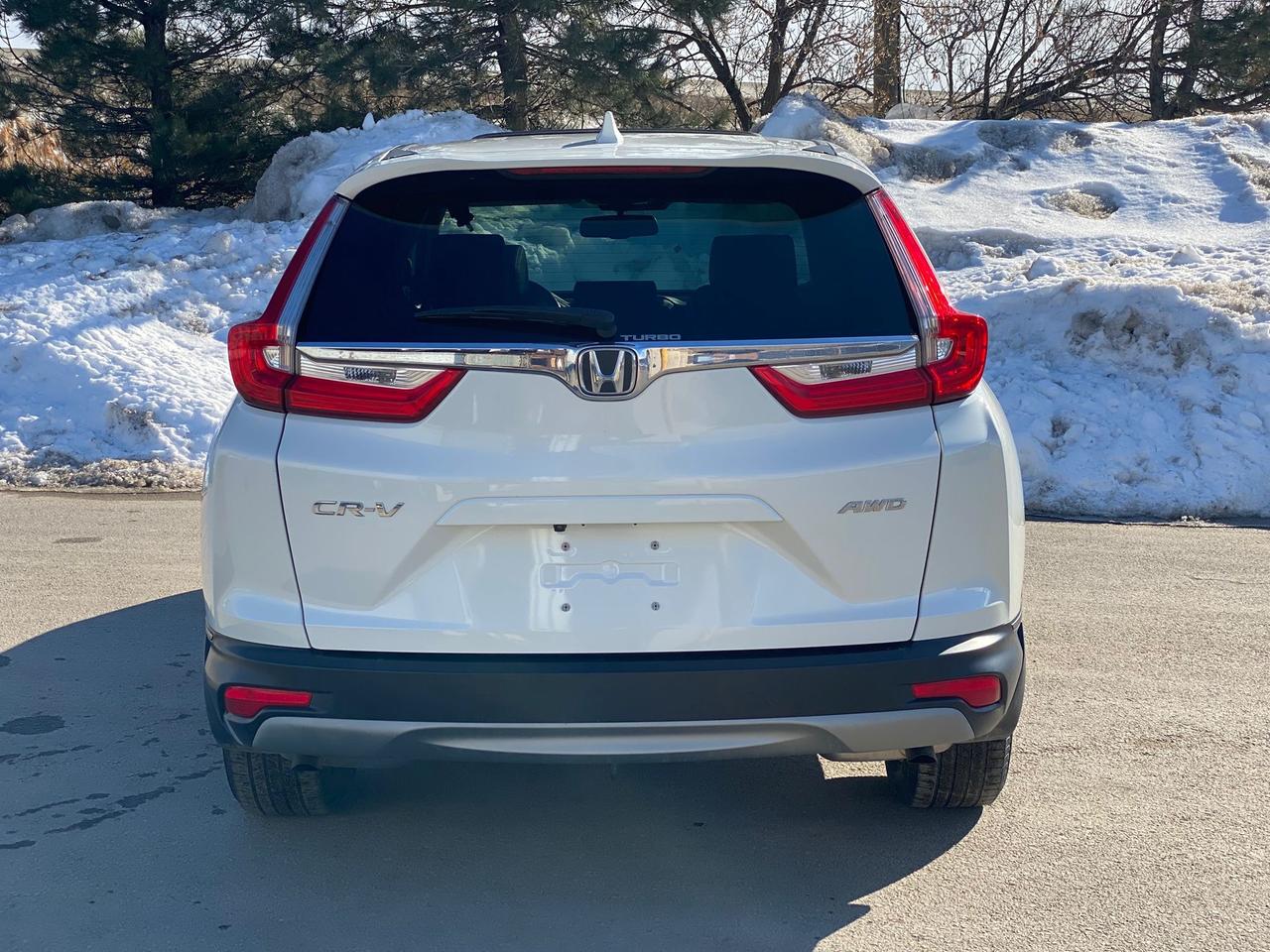 2019 Honda CR-V EX-L | SUNROOF | NO ACCIDENT Photo3