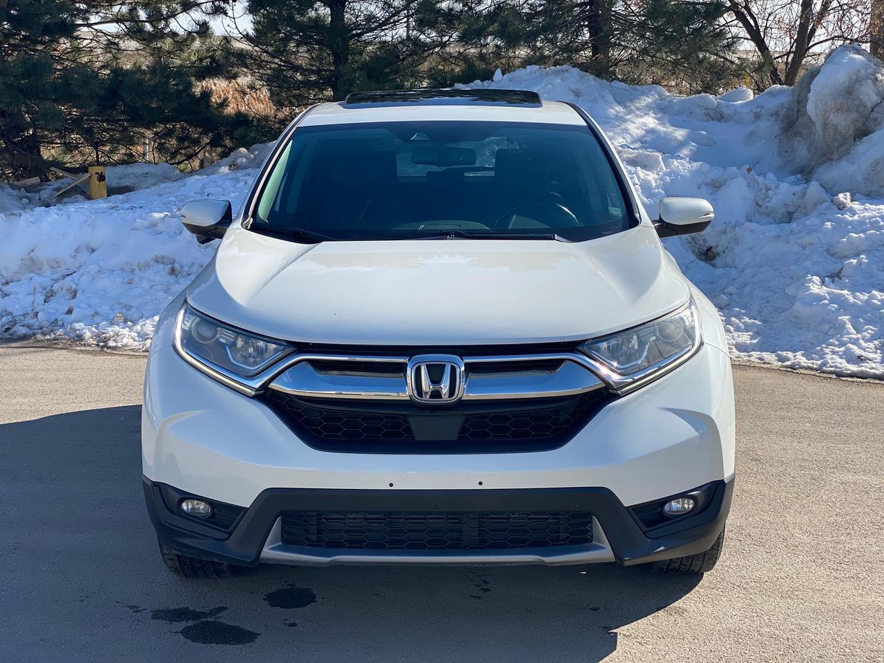 2019 Honda CR-V EX-L | SUNROOF | NO ACCIDENT Photo