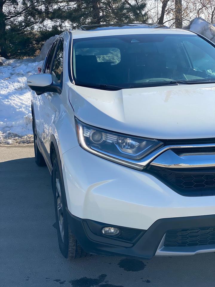 2019 Honda CR-V EX-L | SUNROOF | NO ACCIDENT Photo
