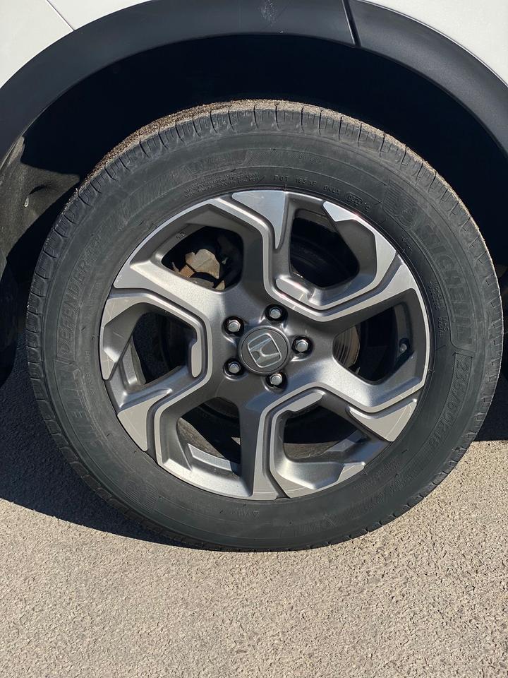 2019 Honda CR-V EX-L | SUNROOF | NO ACCIDENT Photo