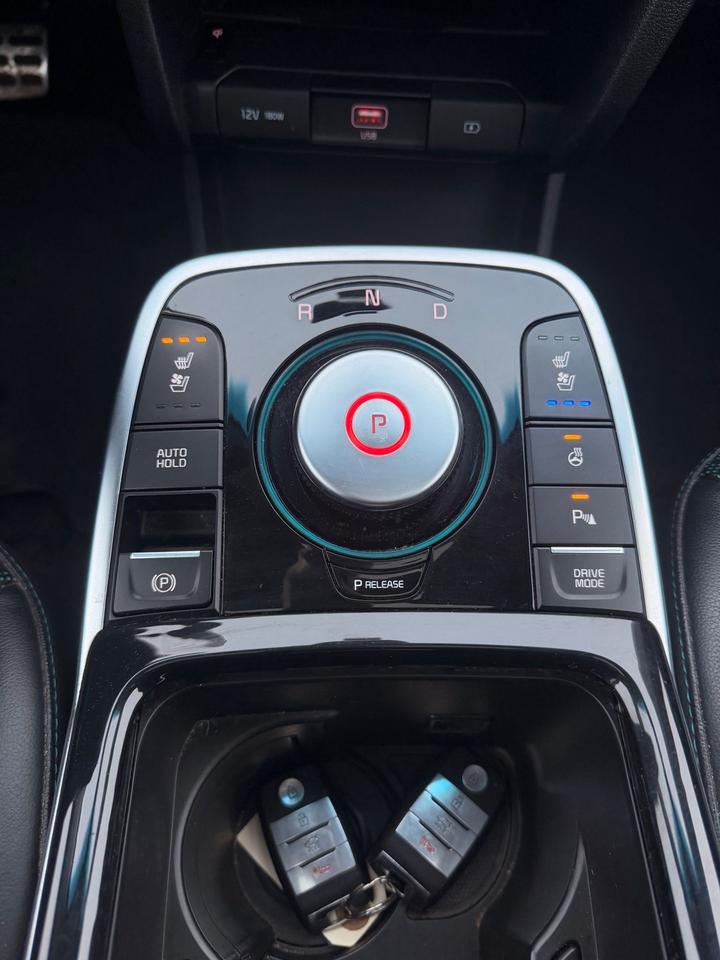 2020 Kia Niro EV SX Touring |NO ACCIDENT | LEATHER | SUNROOF Photo