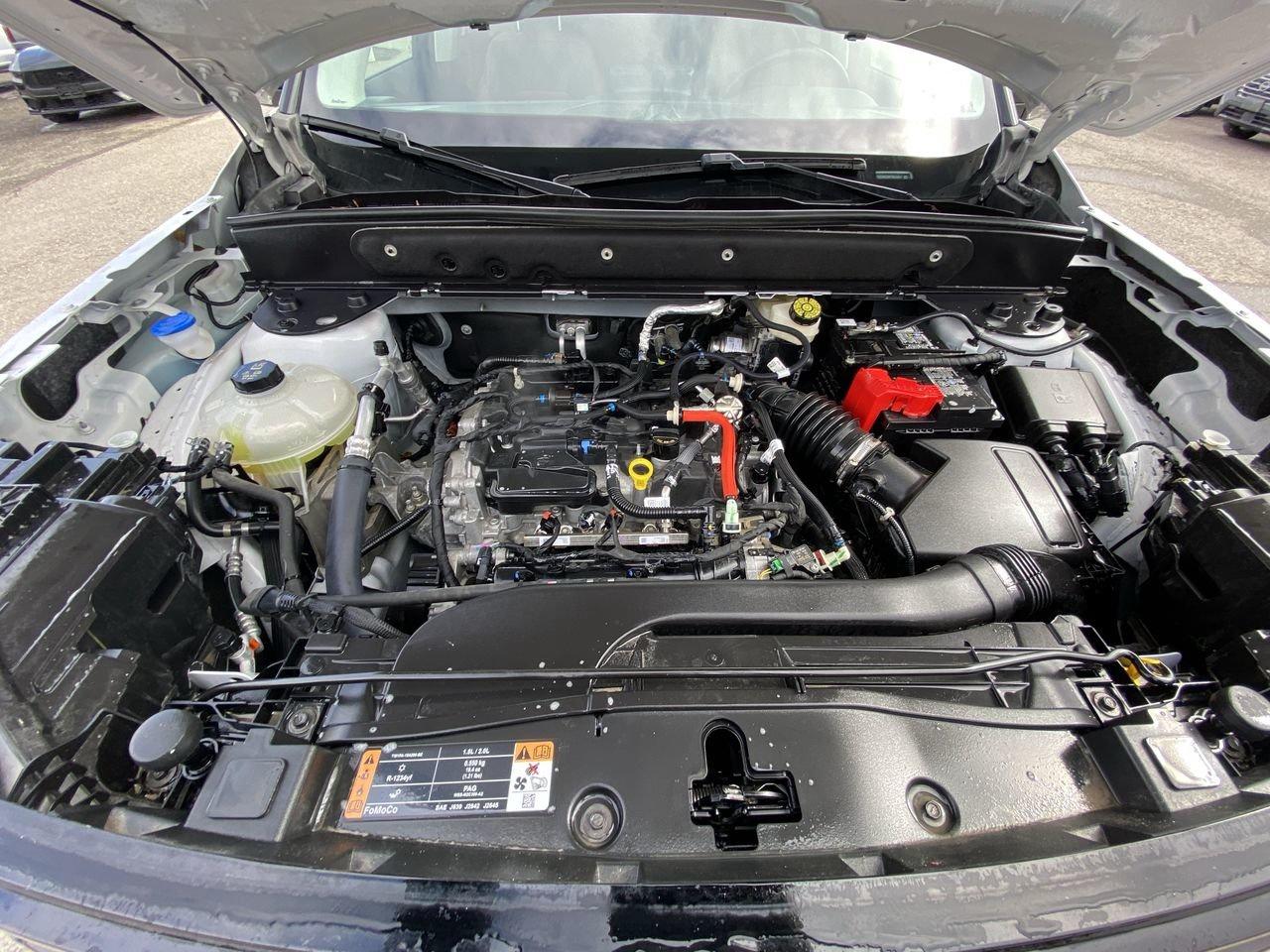 2023 Ford Bronco Sport Outer Banks Photo