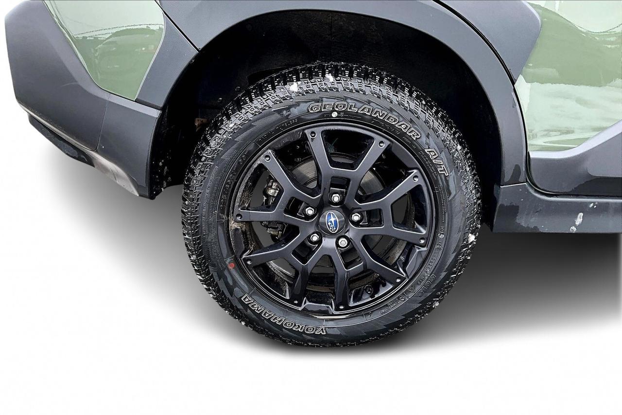 2025 Subaru Crosstrek WILDERNESS AWD   HEATED SOFTEX SEATS   SUNROOF Photo