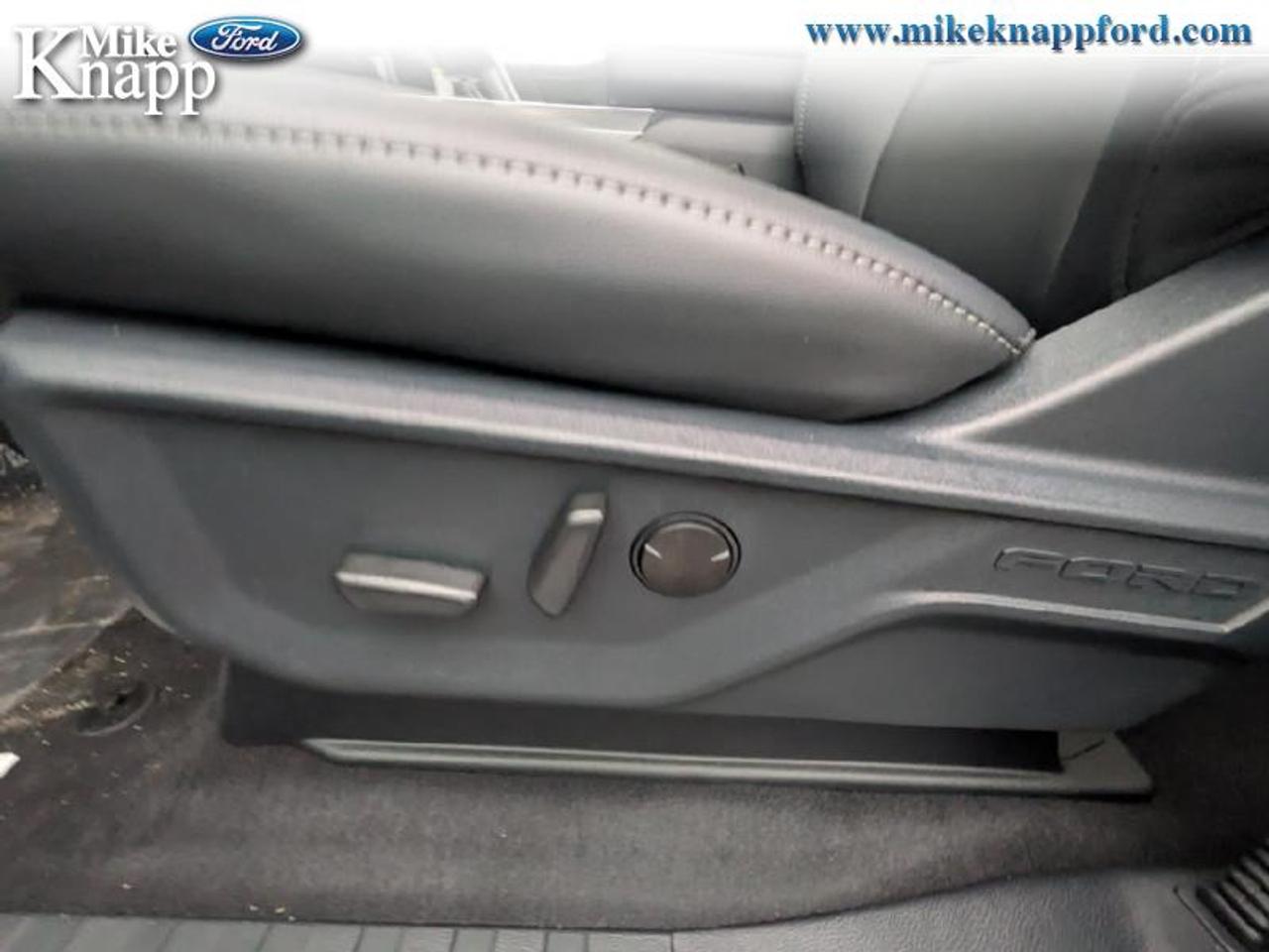 2026 Ford F-150 XLT Photo