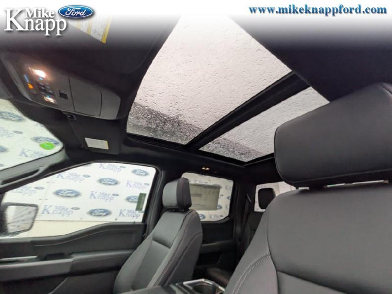 2026 Ford F-150 XLT Photo