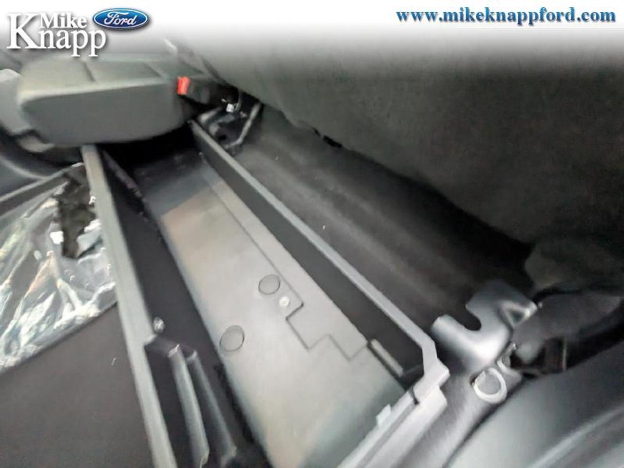 2026 Ford F-150 XLT Photo