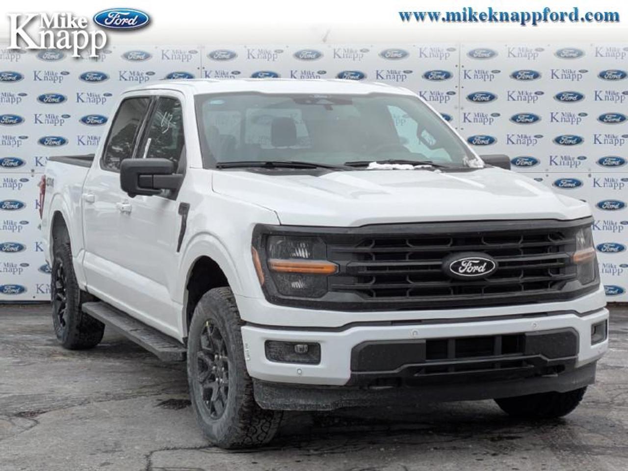 2026 Ford F-150 XLT Photo