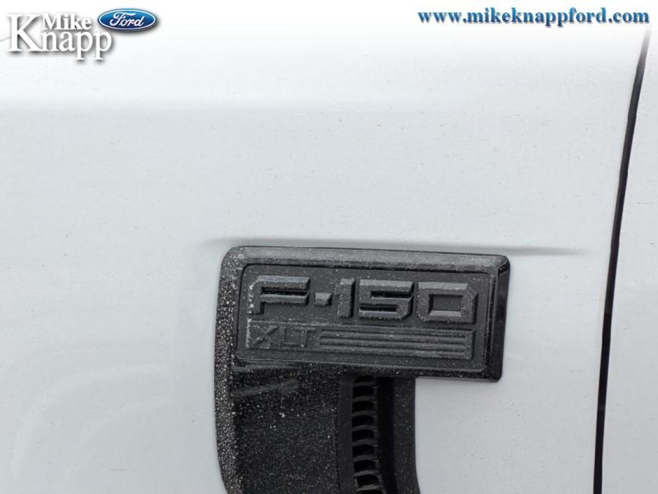 2026 Ford F-150 XLT Photo