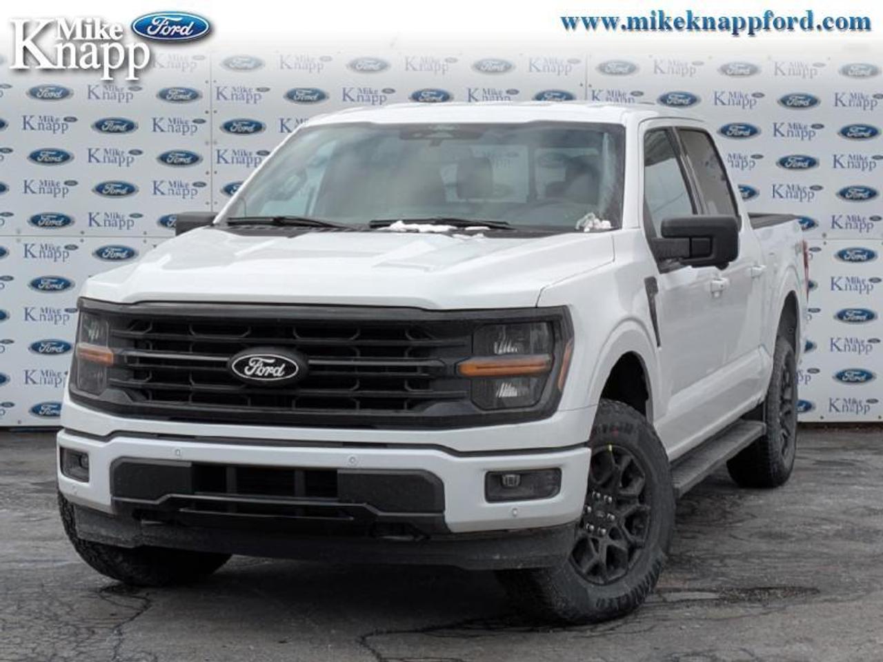 2026 Ford F-150 XLT Photo