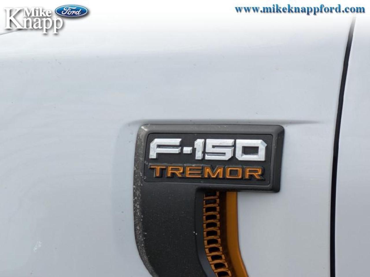 2026 Ford F-150 Tremor Photo