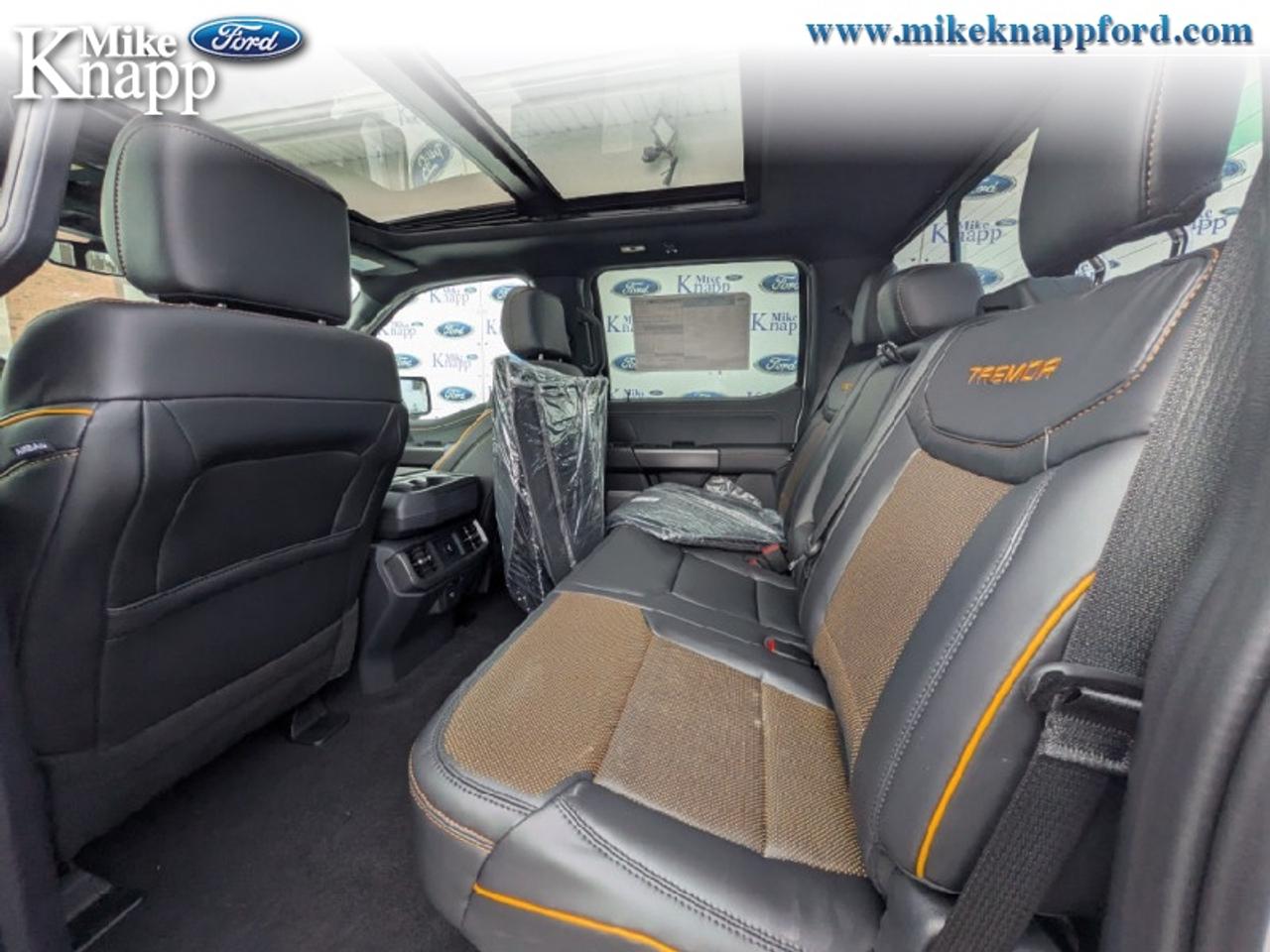 2026 Ford F-150 Tremor Photo