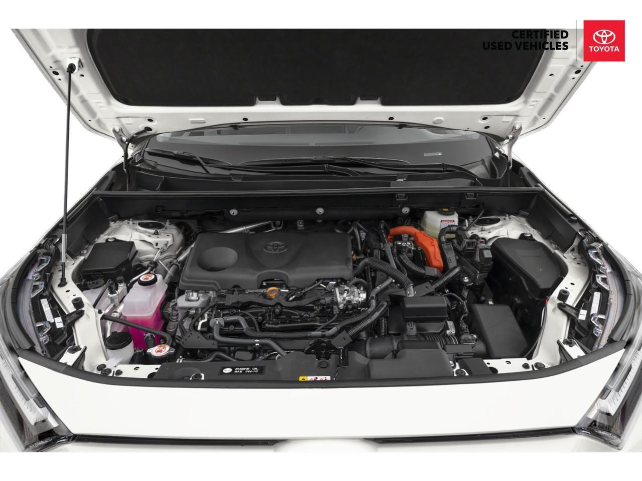 2025 Toyota RAV4 Hybrid LE 4dr All-Wheel Drive Photo