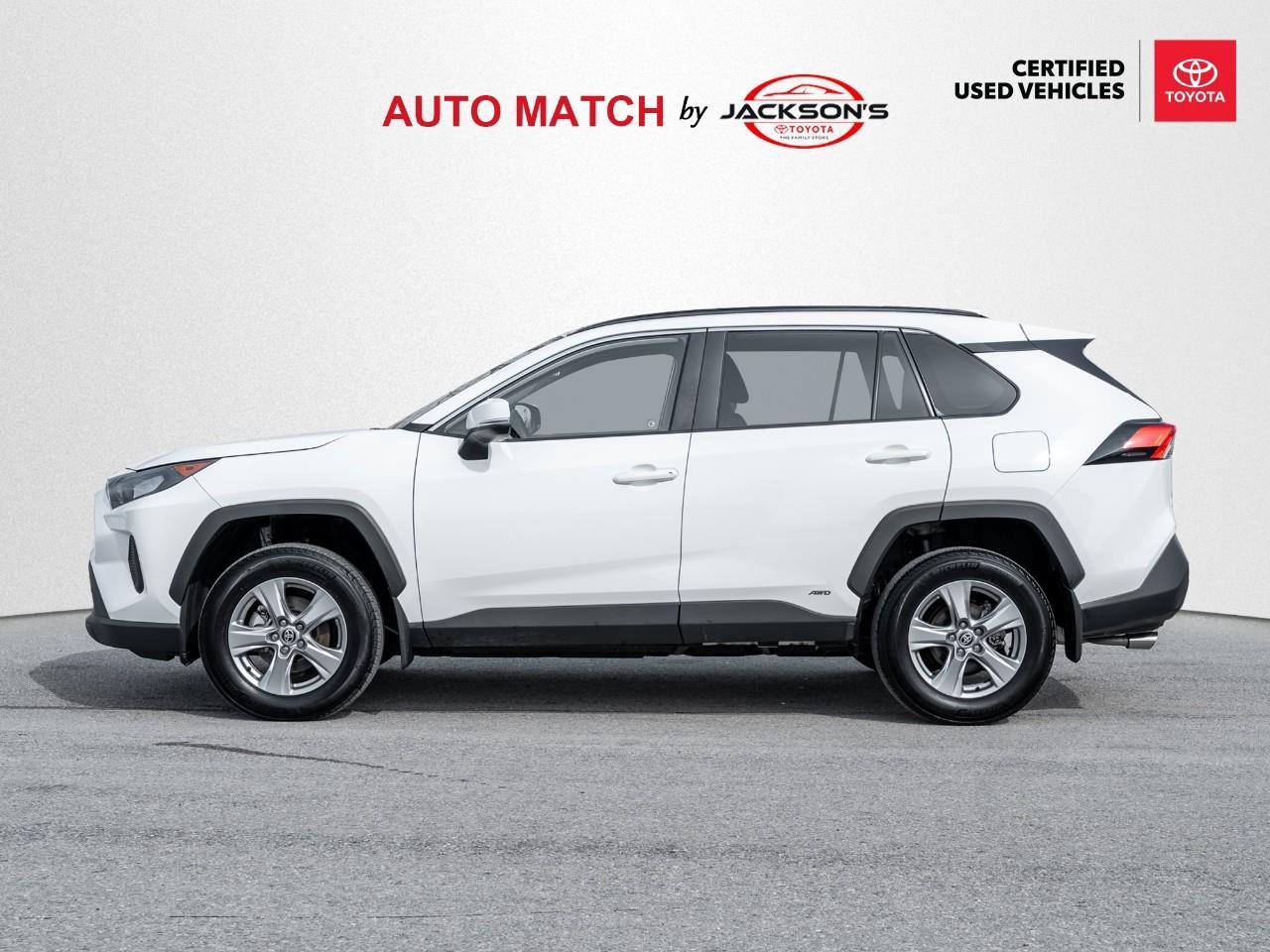 2025 Toyota RAV4 Hybrid LE 4dr All-Wheel Drive Photo