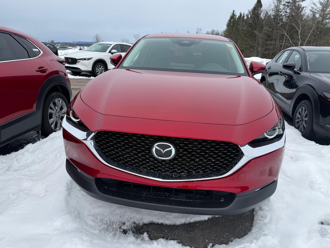 2026 Mazda CX-30 GS 4dr i-ACTIV All-Wheel Drive Sport Utility Photo