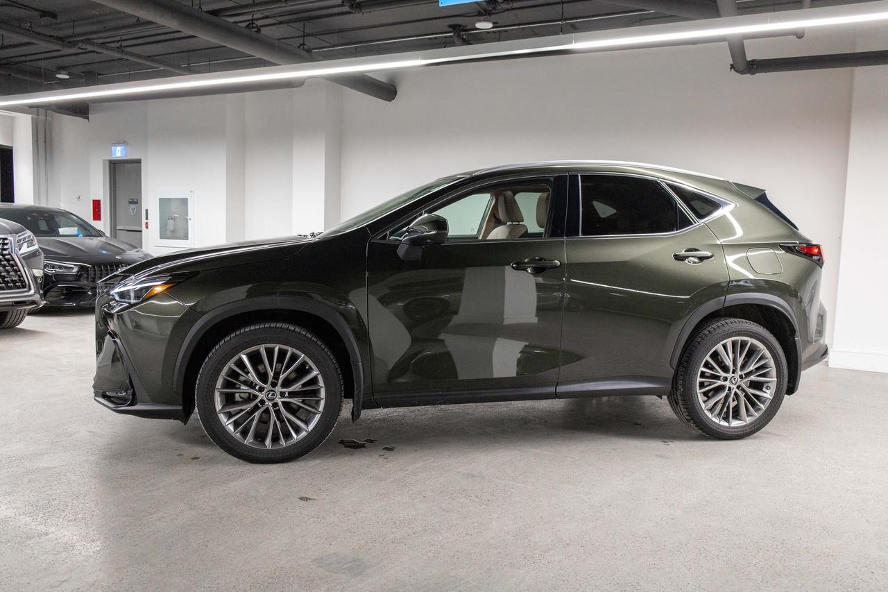 2022 Lexus NX 350h Ultra Luxury Pkg Safety Certified Photo2