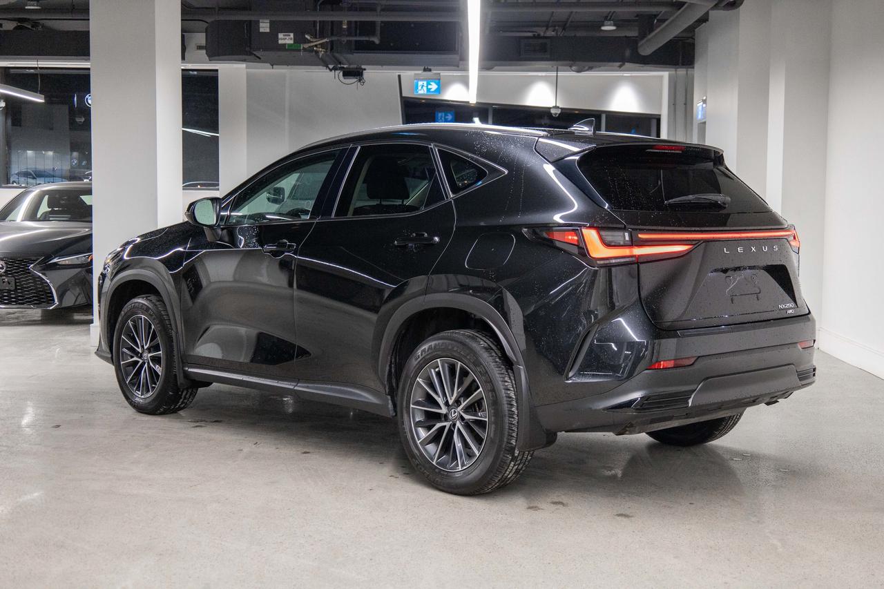 2023 Lexus NX 250 AWD SIgnature Lexus Certified Welcome Trades Photo3