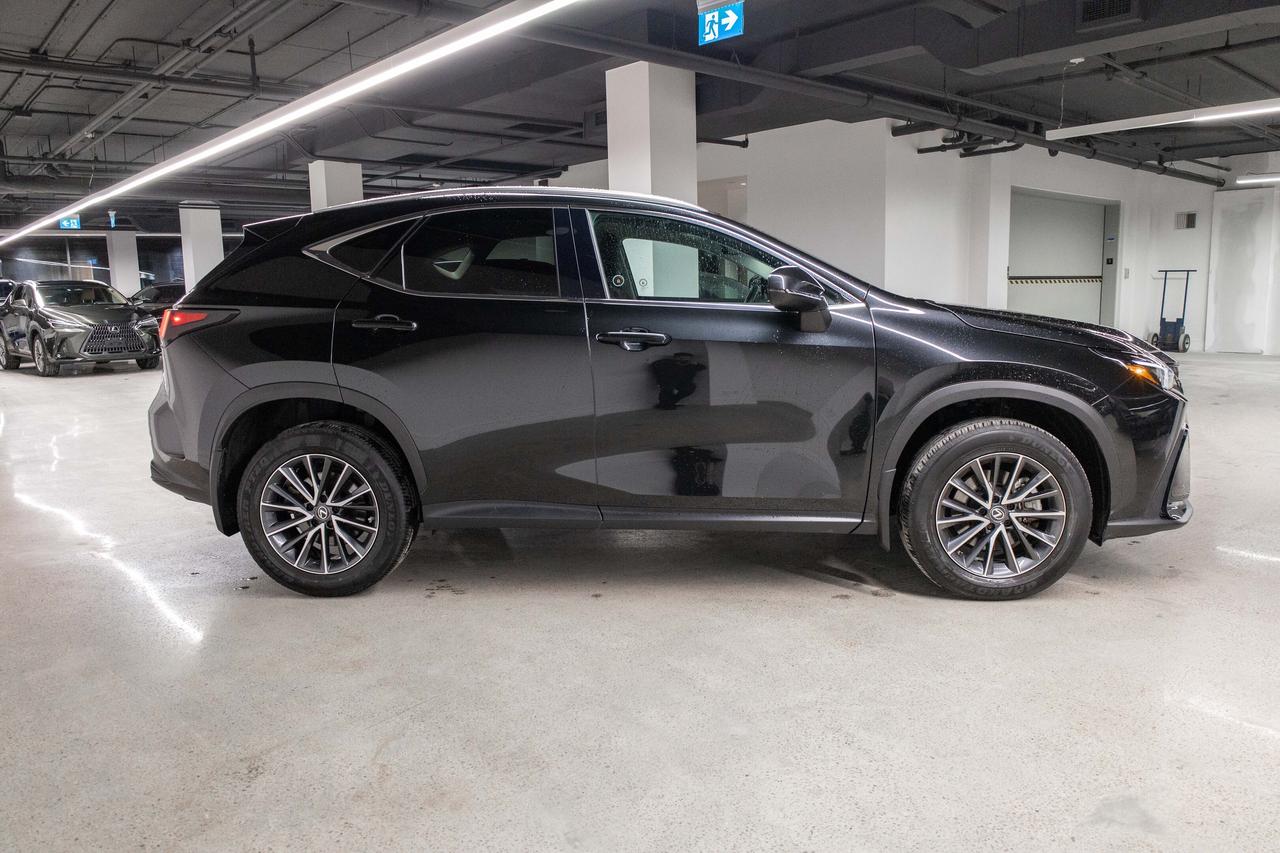 2023 Lexus NX 250 AWD SIgnature Lexus Certified Welcome Trades Photo