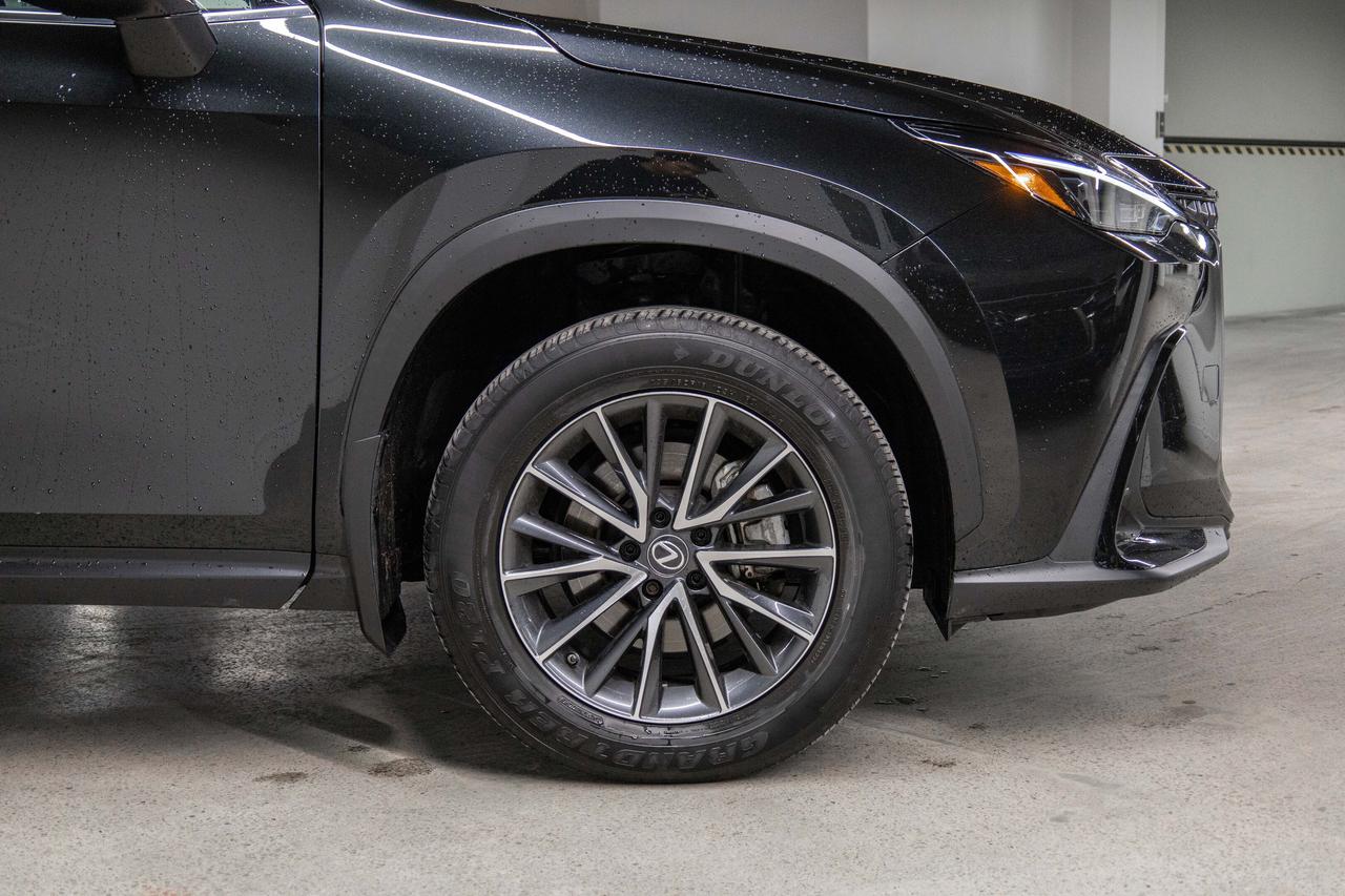 2023 Lexus NX 250 AWD SIgnature Lexus Certified Welcome Trades Photo