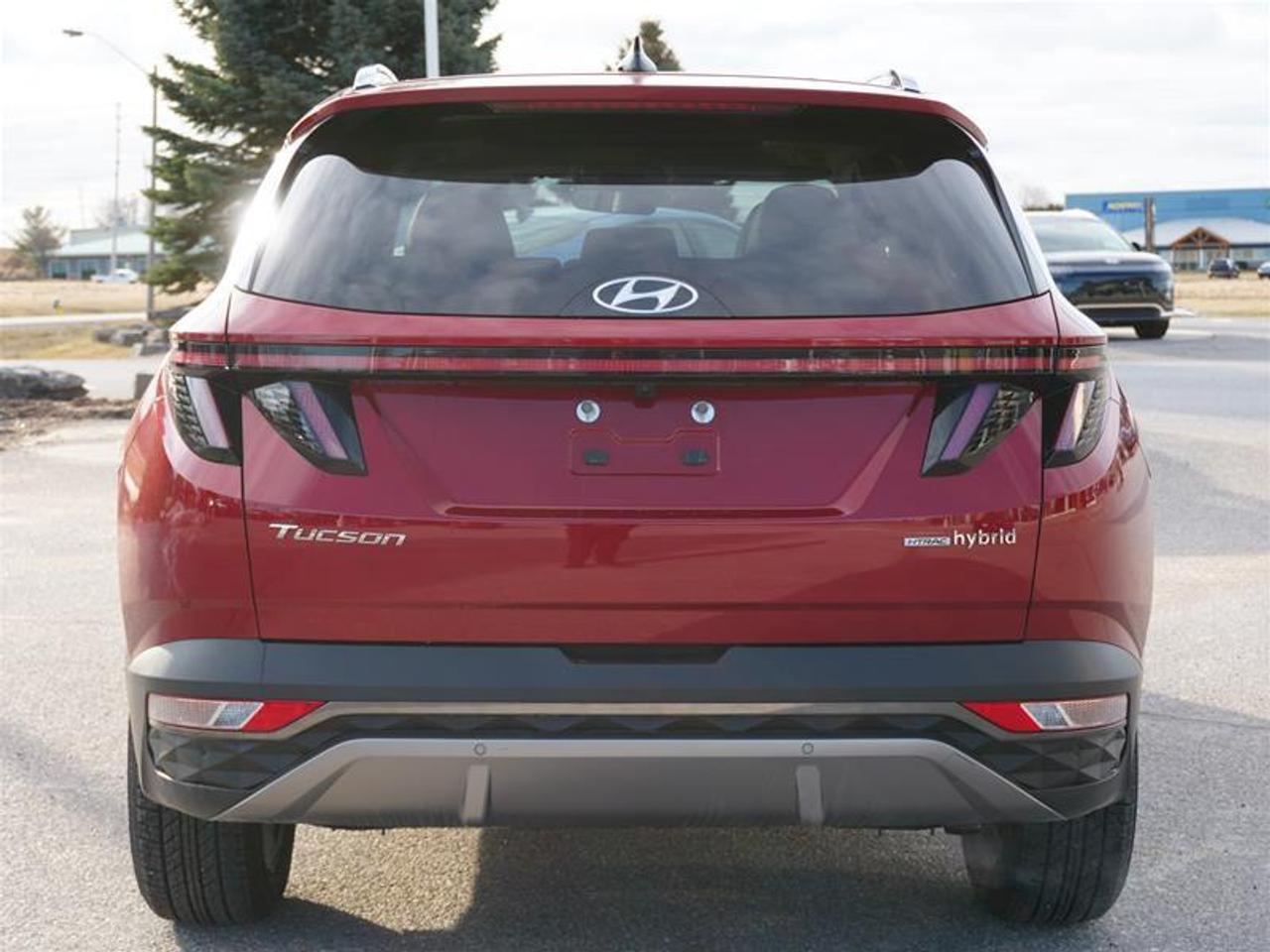 2022 Hyundai Tucson AWD 1.6T Luxury Hybrid Photo3