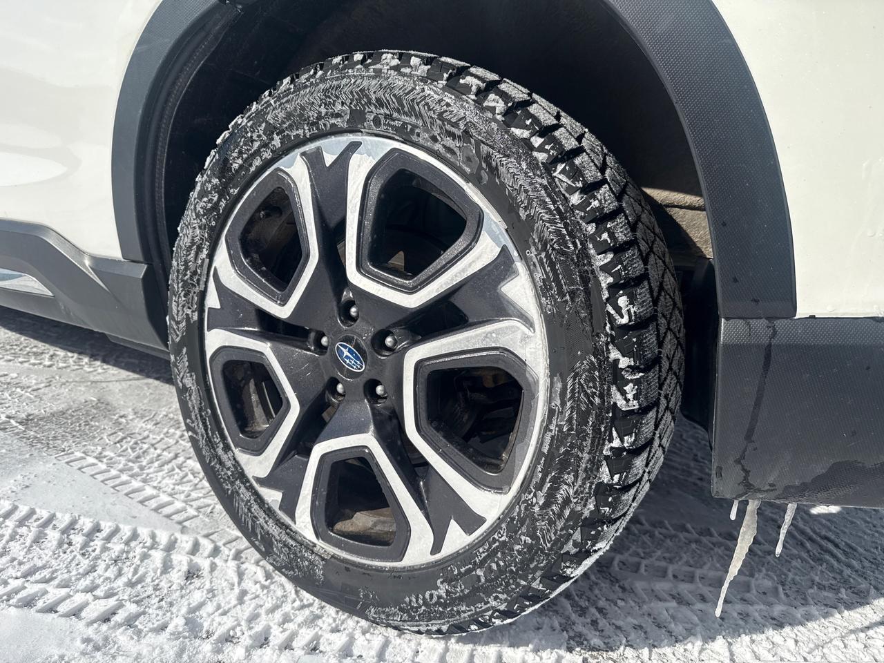 2023 Subaru ASCENT Limited 8-Passenger (CVT) 4dr All-Wheel Drive Photo