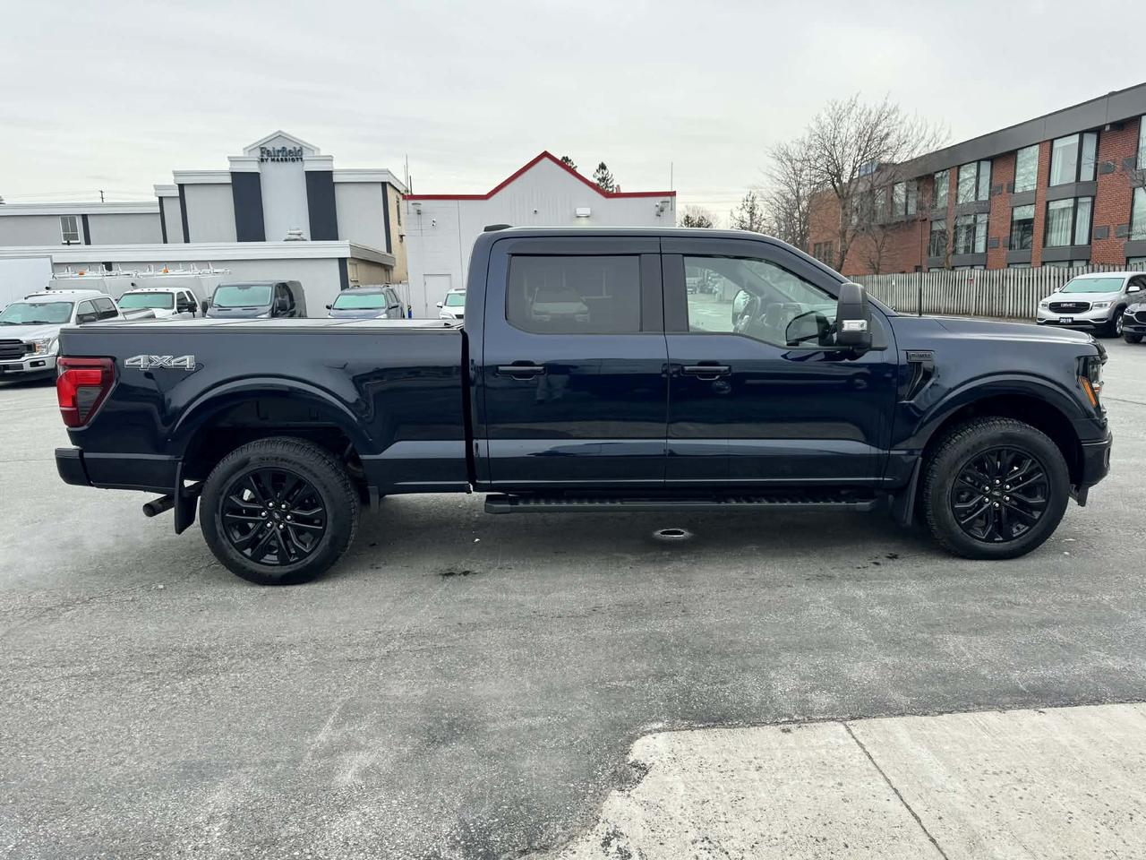 2025 Ford F-150 XLT 4WD SuperCrew 5.5' Box Photo