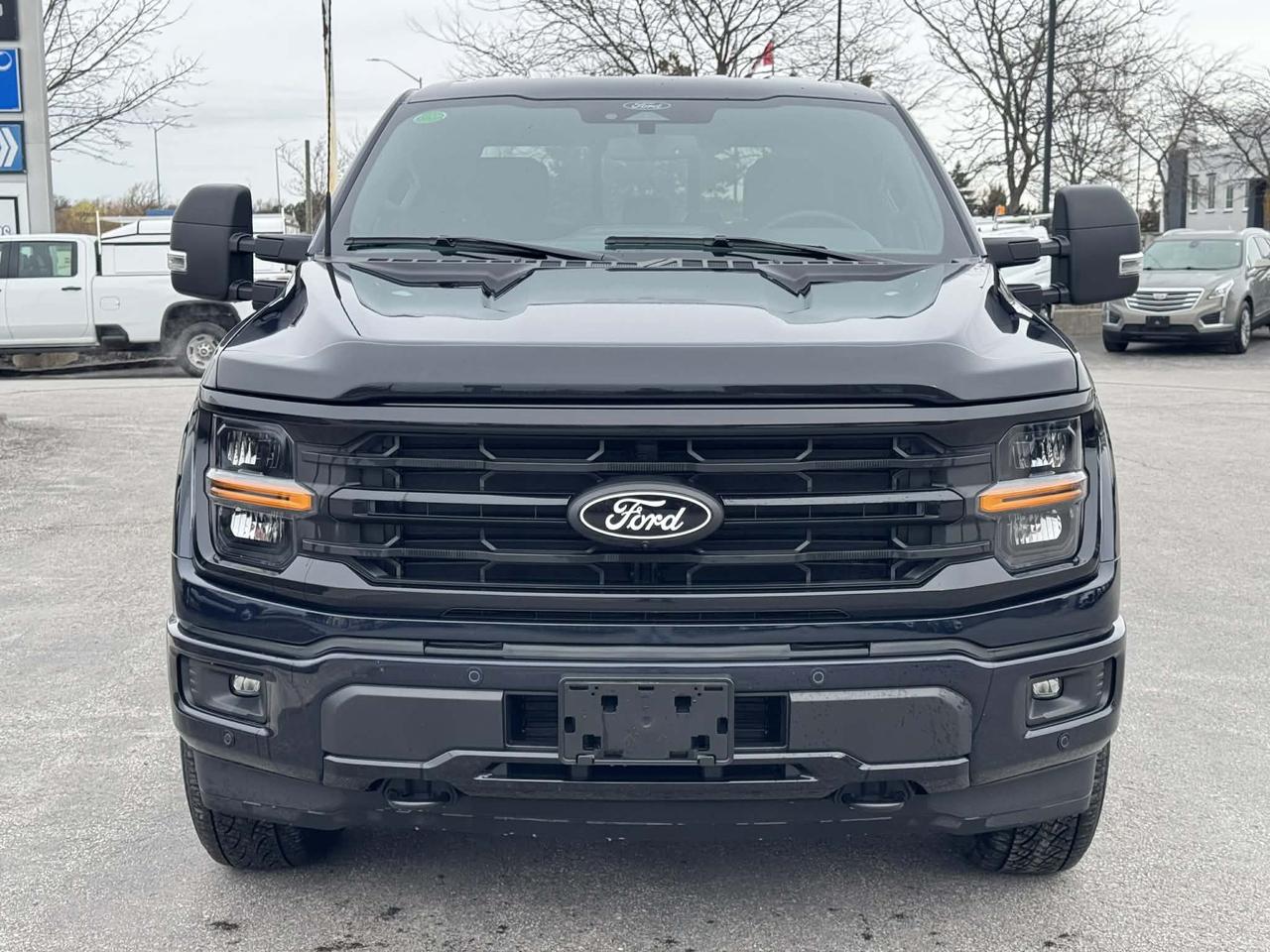 2025 Ford F-150 XLT 4WD SuperCrew 5.5' Box Photo