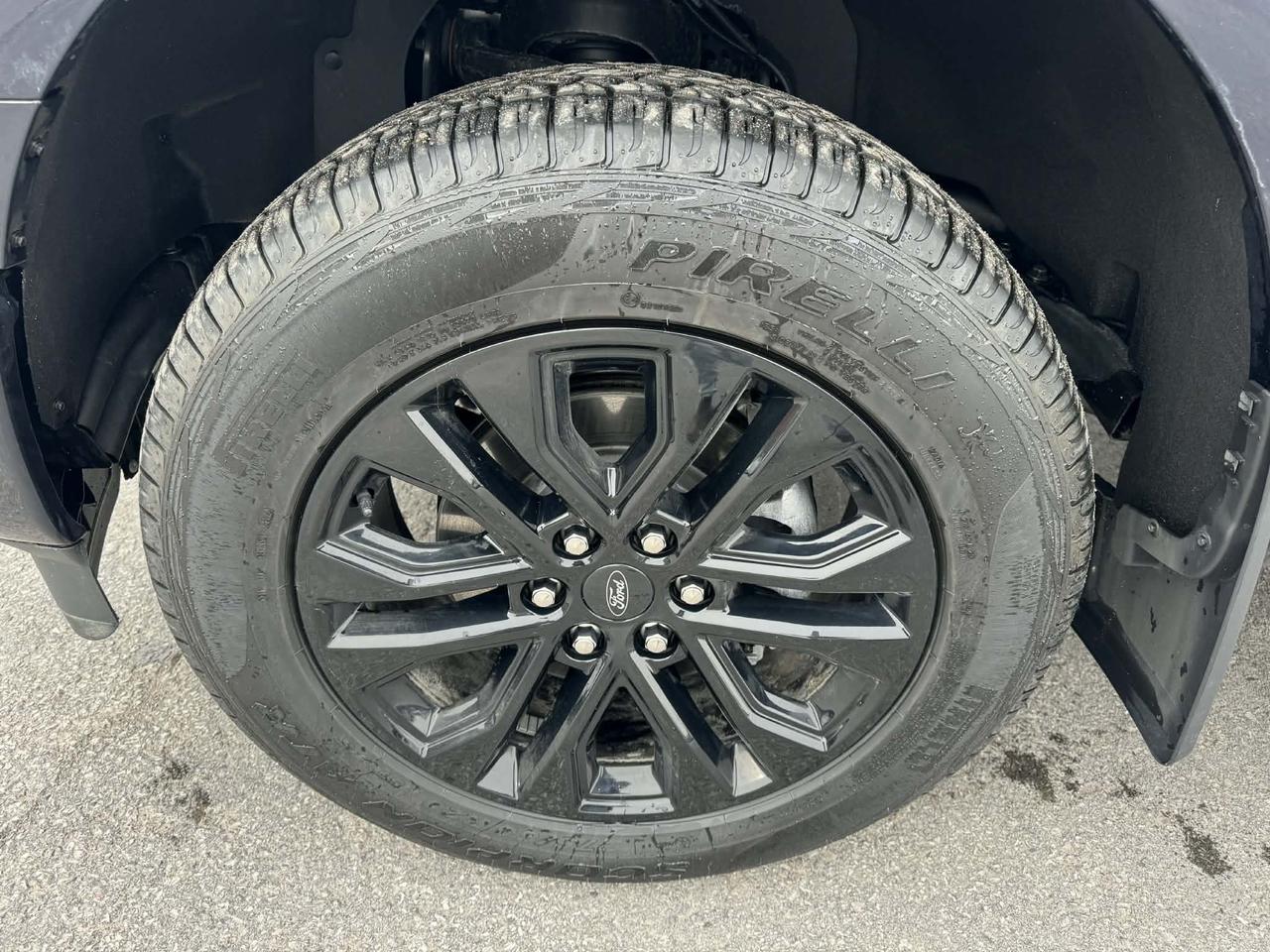 2025 Ford F-150 XLT 4WD SuperCrew 5.5' Box Photo