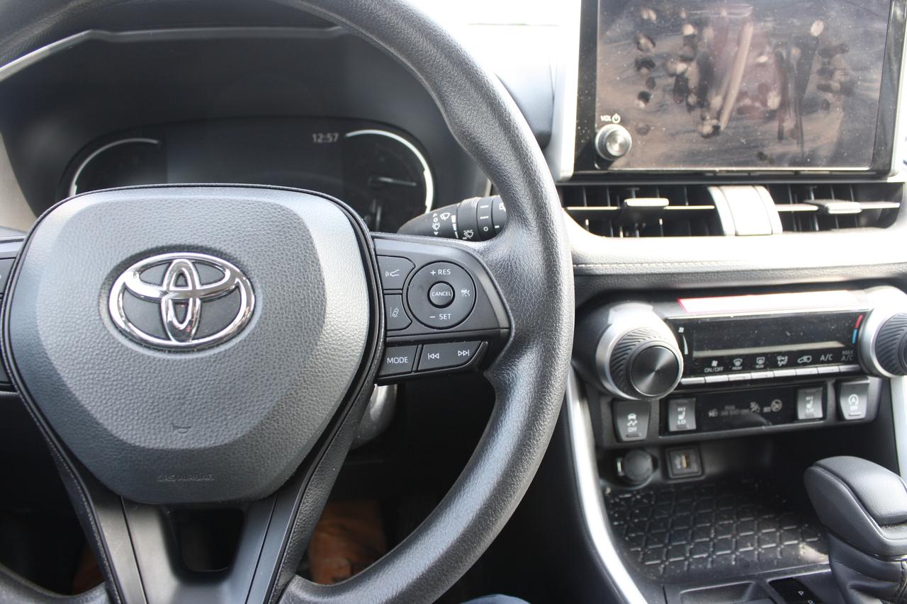 2025 Toyota RAV4 LE AWD Photo