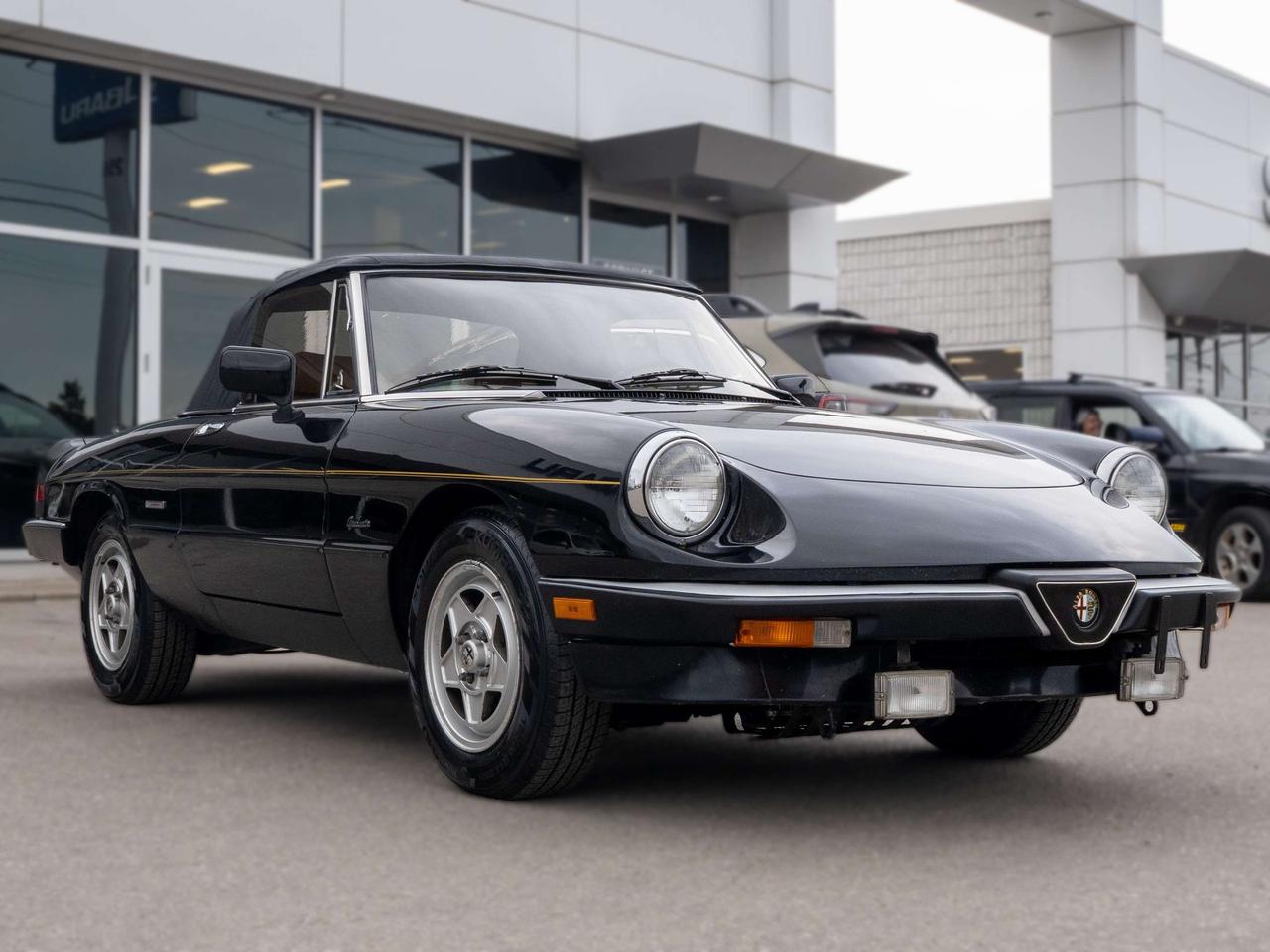 1987 Alfa Romeo Spider 2dr Coupe Graduate Photo