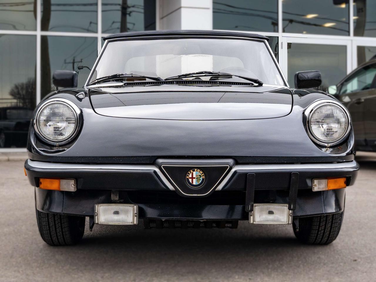 1987 Alfa Romeo Spider 2dr Coupe Graduate Photo5