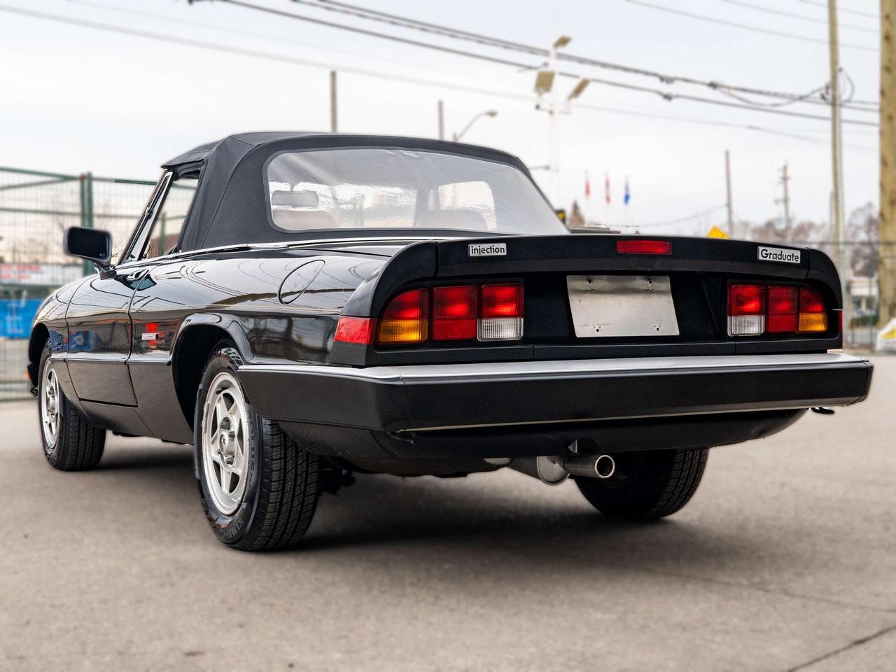 1987 Alfa Romeo Spider 2dr Coupe Graduate Photo