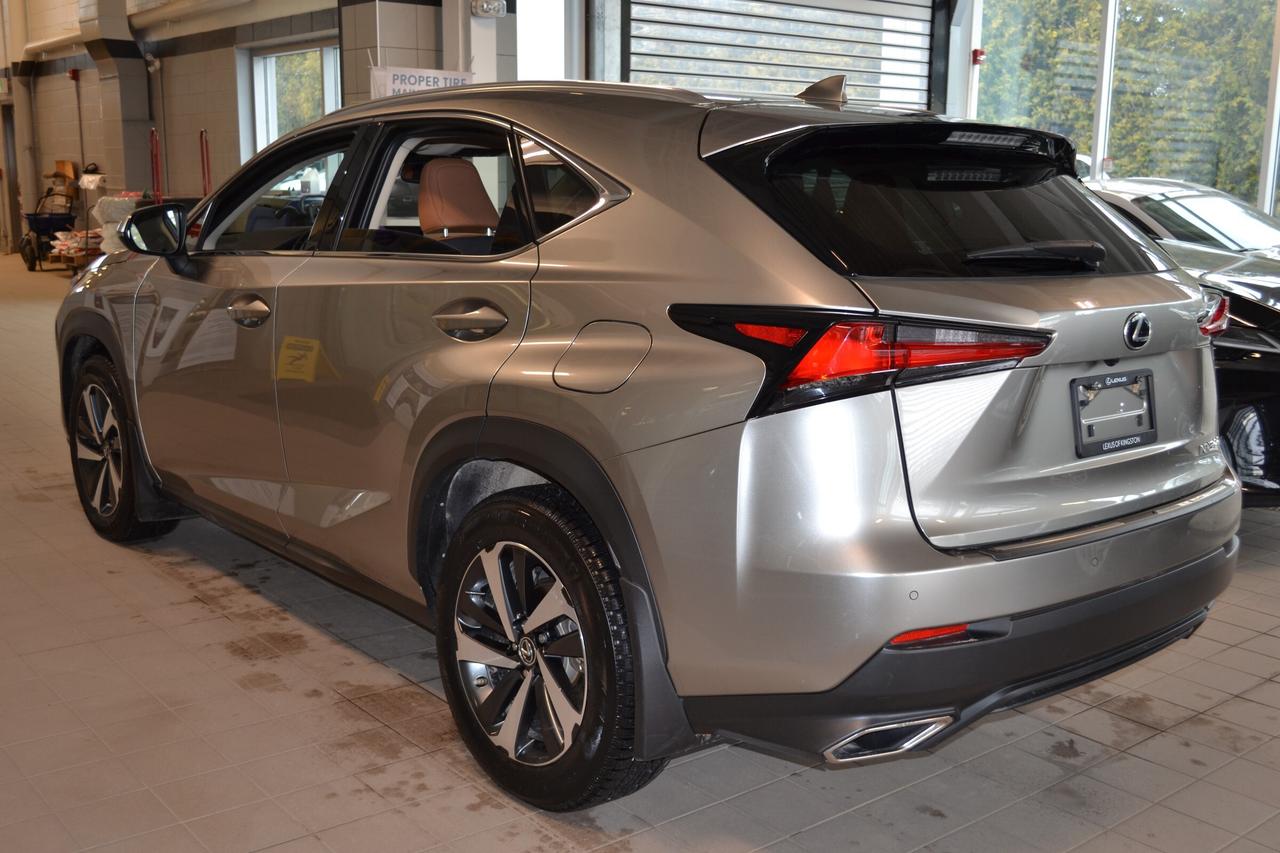 2021 Lexus NX 300  Photo