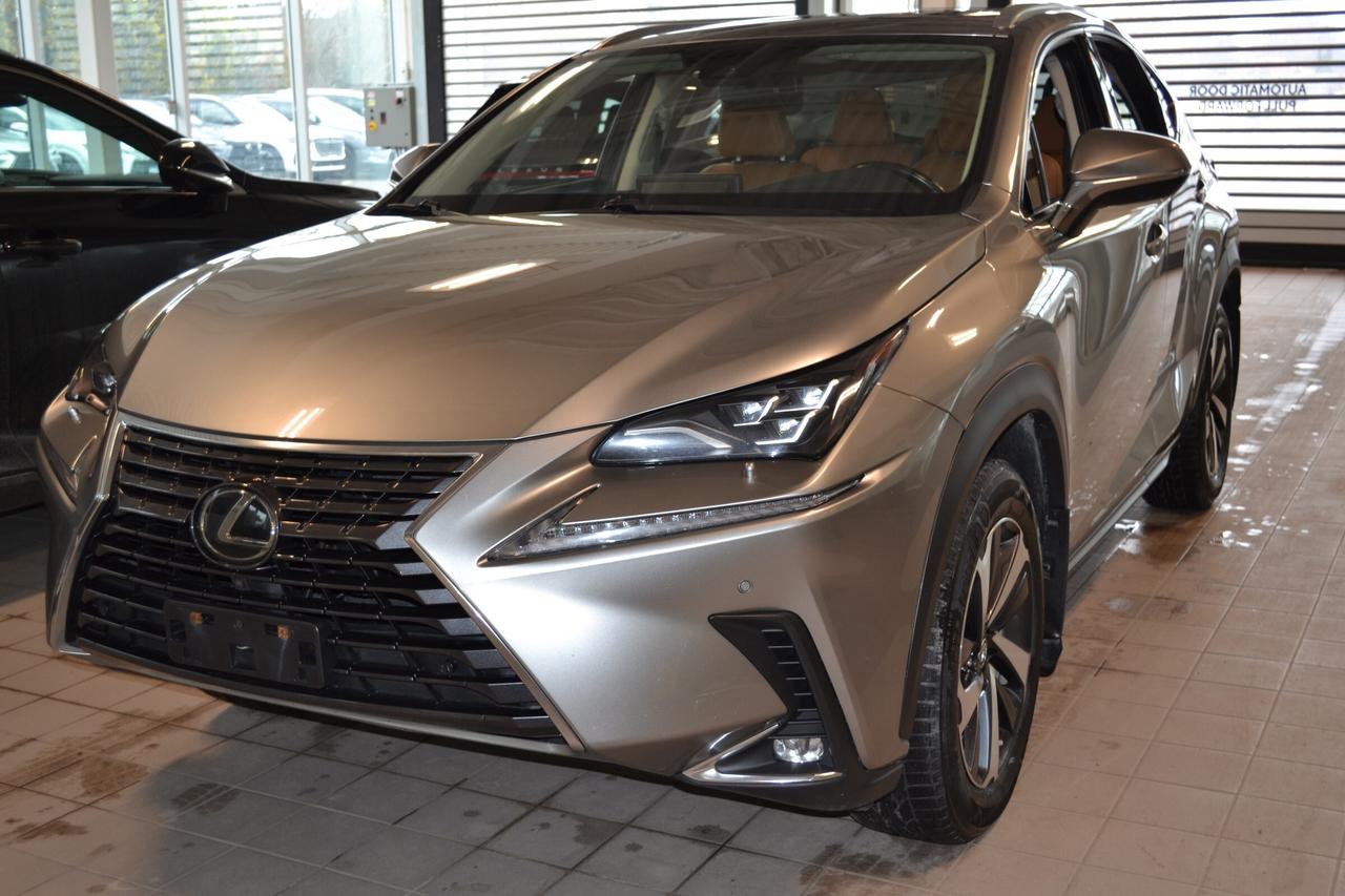 2021 Lexus NX 300  Photo