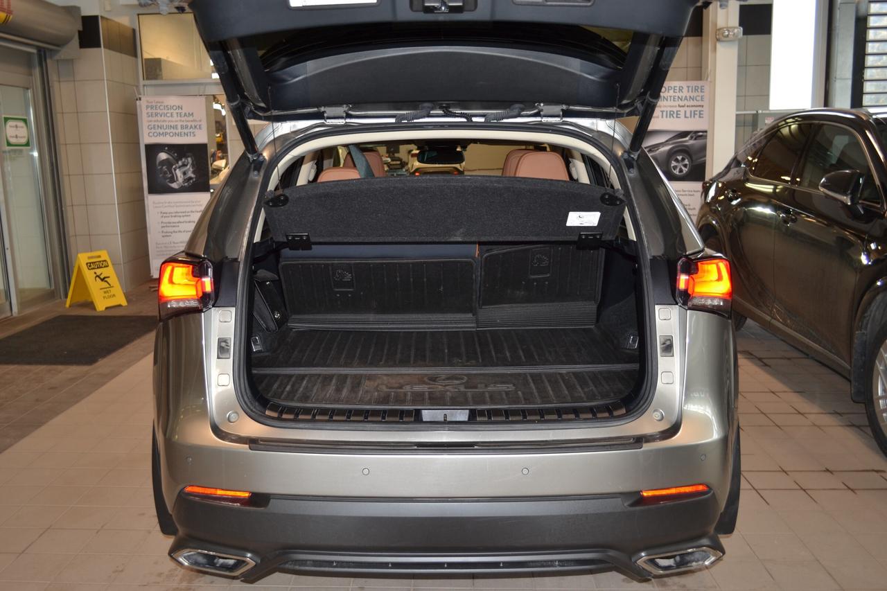 2021 Lexus NX 300  Photo