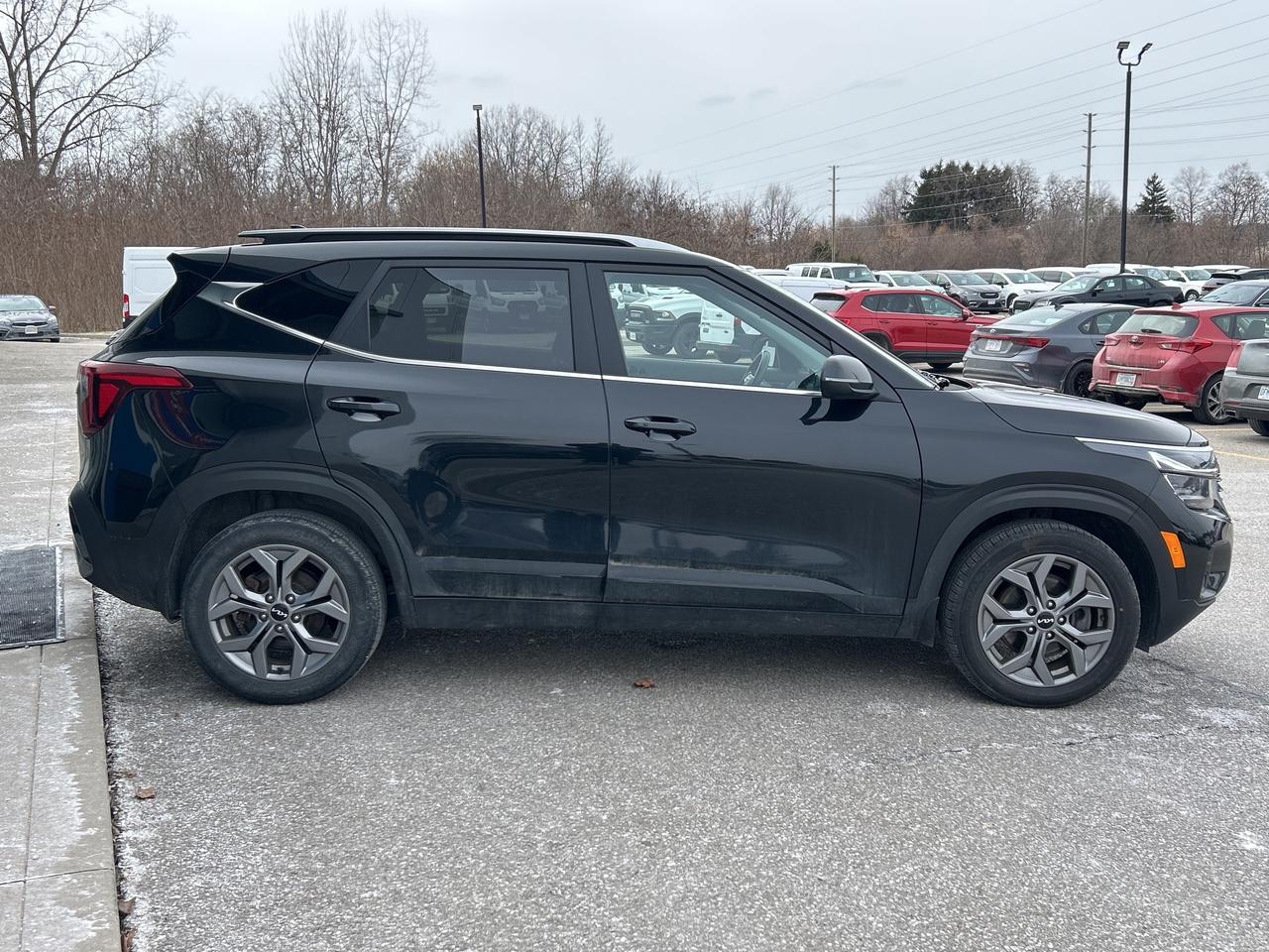 2024 Kia Seltos EX Photo