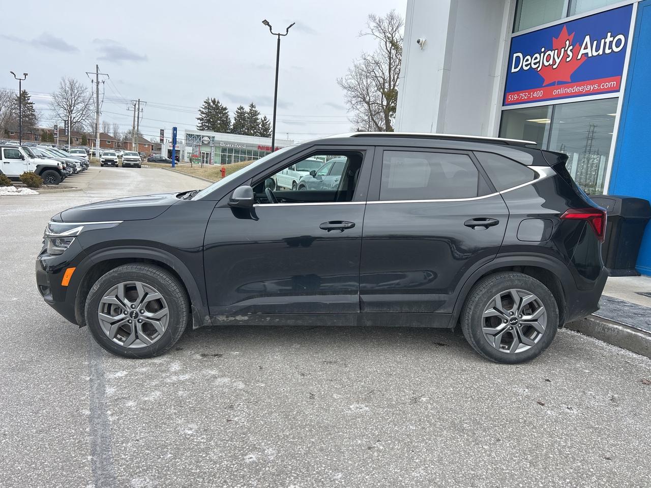 2024 Kia Seltos EX Photo